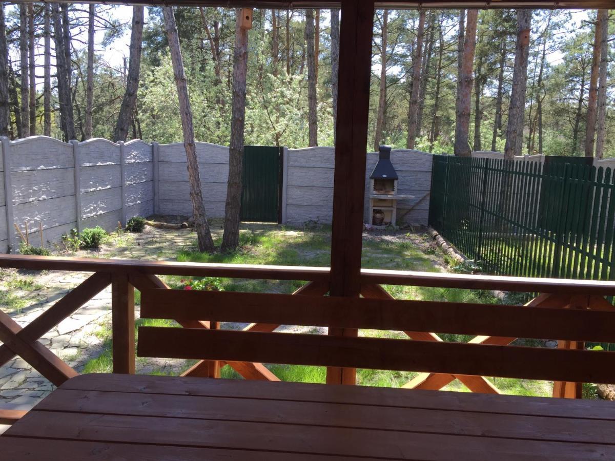 קובלבו Cottage In Sosnovom Boru מראה חיצוני תמונה