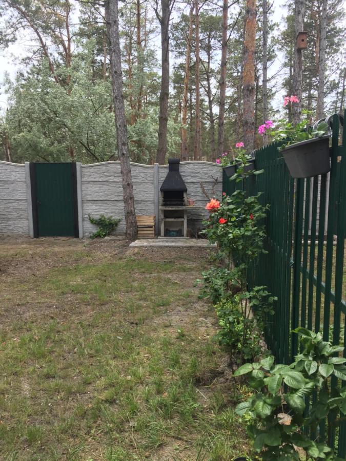 קובלבו Cottage In Sosnovom Boru מראה חיצוני תמונה
